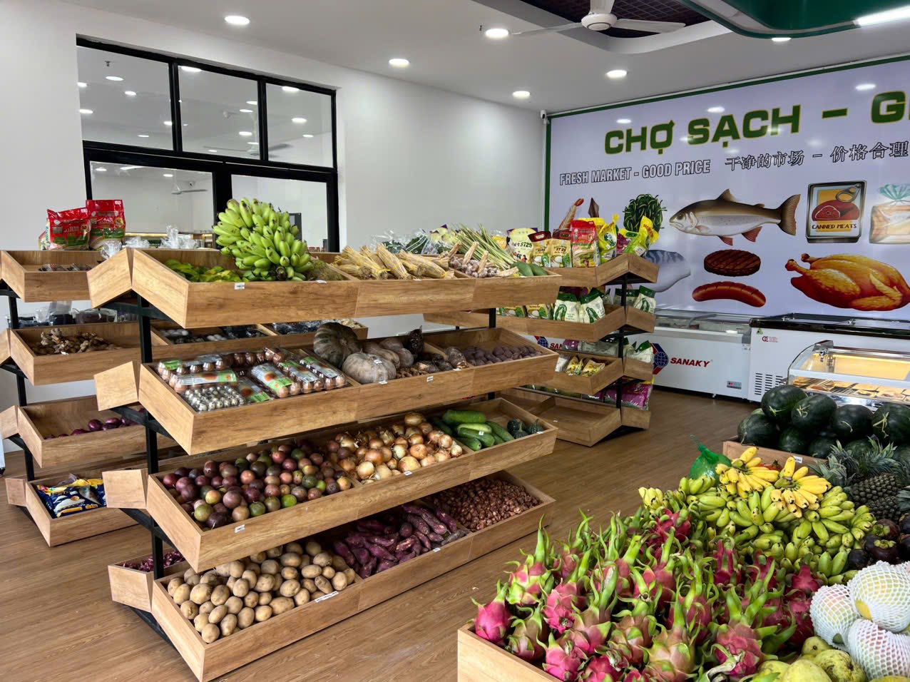 518051277 717217561174373 9028901522457469365 n